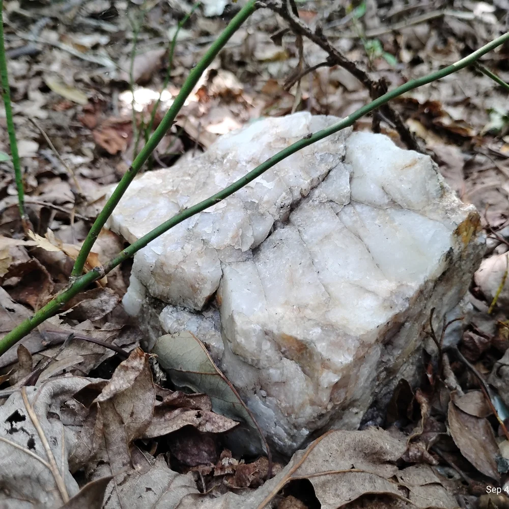 Raw Appalachian Quartz, IN SITU - Picture 2 of 2
